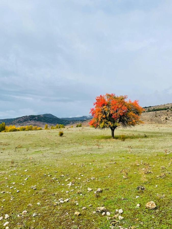 Alojamiento Rural Los Gancheros Трагасете Экстерьер фото