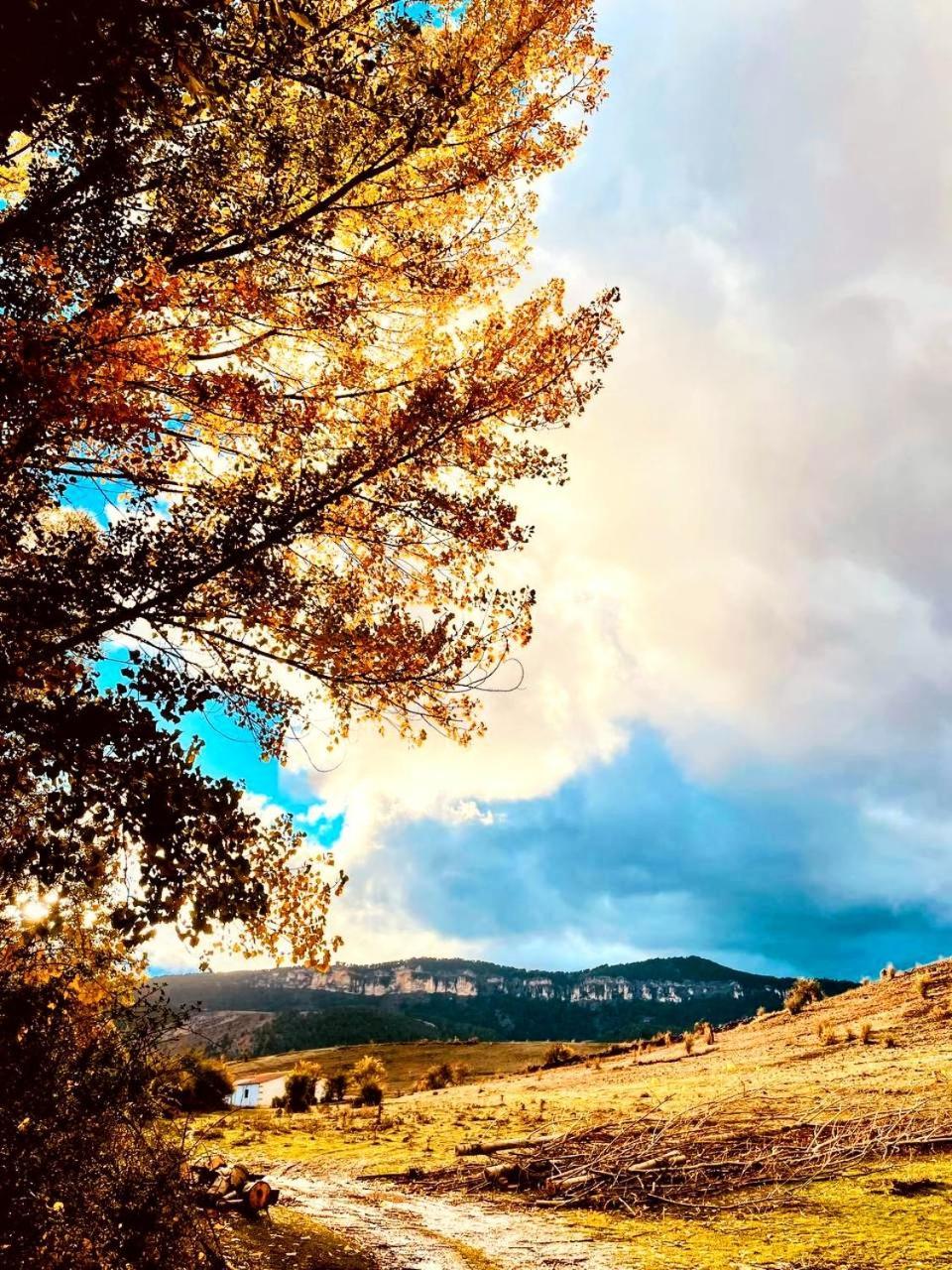 Alojamiento Rural Los Gancheros Трагасете Экстерьер фото